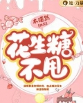 花生糖不甩的小说
