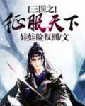 三国之征服天下小说作品大全