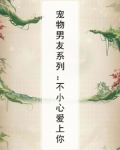 宠物男友的饲养守则