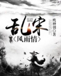 乱世风雨