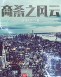 商杀之风云TXT下载