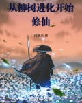从柳树开始进化百度百科