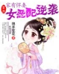 家有悍妻：重生女恶配逆袭