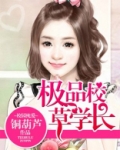 极品校草的小说
