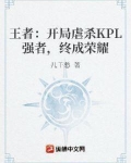 王者开局被阿轲刺杀免费