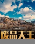 废品天王 小说