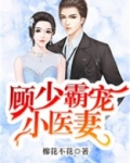 顾少霸宠小医妻小说