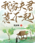 我家夫君惹不起全文免费下载