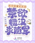 年代娇妻忙改命，禁欲糙汉求随军
