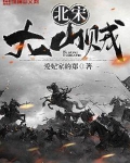 北宋大山贼TXT