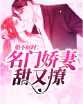 婚不候时:名门娇妻甜又撩林深