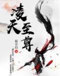 凌天至尊
