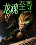 龙魂至尊 陈昭明