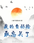 自动拾取wa