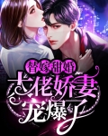 替嫁甜婚：大佬娇妻宠爆了