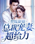 替嫁成婚:总裁的甜宠新娘