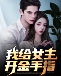 抢夺女主金手指系统