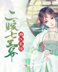 神医王妃二嫁王妃