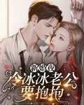 新婚夜冷老公要抱抱小说
