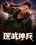 医武神兵叶枫