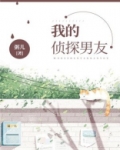 我的侦探男友 电视剧