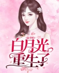 重生陆总白月光