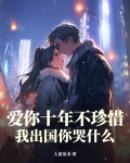 爱你十年不珍惜,我出国你哭什么歌