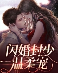闪婚总裁放肆宠封以漠