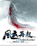 至尊风云小说
