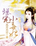 爆宠小毒妃―风月无边