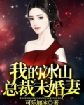 我的冰山总裁未婚妻叶凌天秦雪莹正版阅读