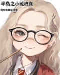 玩转半岛小说