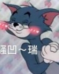 测试333