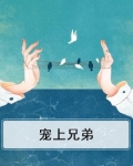宠上兄弟