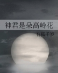 神君是朵高岭花 有狐千岁
