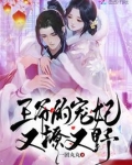 王爷的宠妃刚好遇见你小说