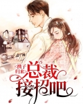 携子归来：总裁接招吧