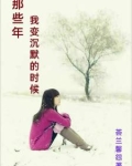 歌词沉默这些年我学会了安稳