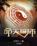 武曲天相入命