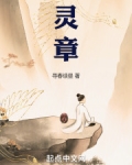 灵章小说