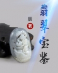 翡翠宝鉴 小说