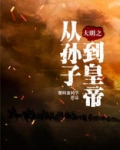 大明之从孙子到皇帝