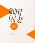 御用闲妻