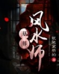 墓葬风水师