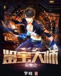 重生之鉴宝大师维果