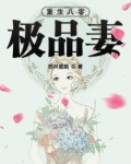 重生八零极品妻