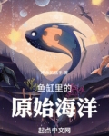 海水鱼缸新手攻略