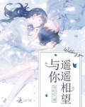 与你遥遥相望小说