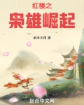 红楼之枭雄崛起