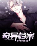 奇异档案小说